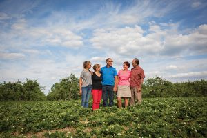 The Dykstra family on their Clarksburg strawberry farm (l-r): daughter Chelsey, Karen and Roger Dykstra, Jane and Sid Dykstra.