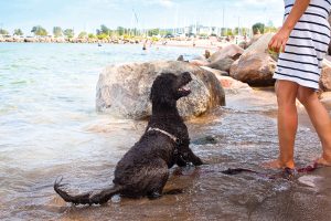 Thornbury’s Little River Park and adjoining harbour are a hive of activity in the summer months.