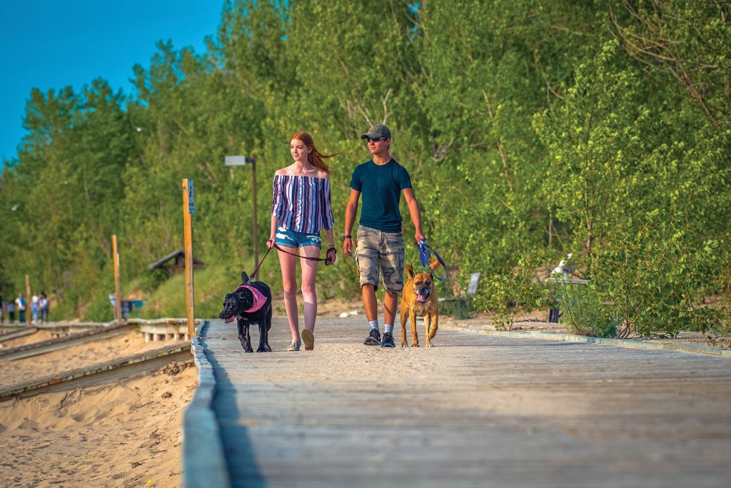 Hannah Oakey and Travis Sacerty take their dogs, Ruby and Zeus, for an outing on the Wasaga Beach boardwalk.