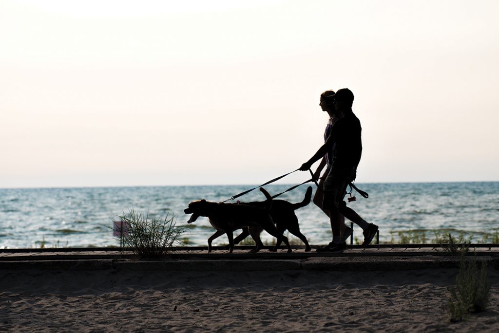 Hannah Oakey, dog Ruby, Travis Sacerty and dog Zeus take a break on the boardwalk in Wasaga Beach.