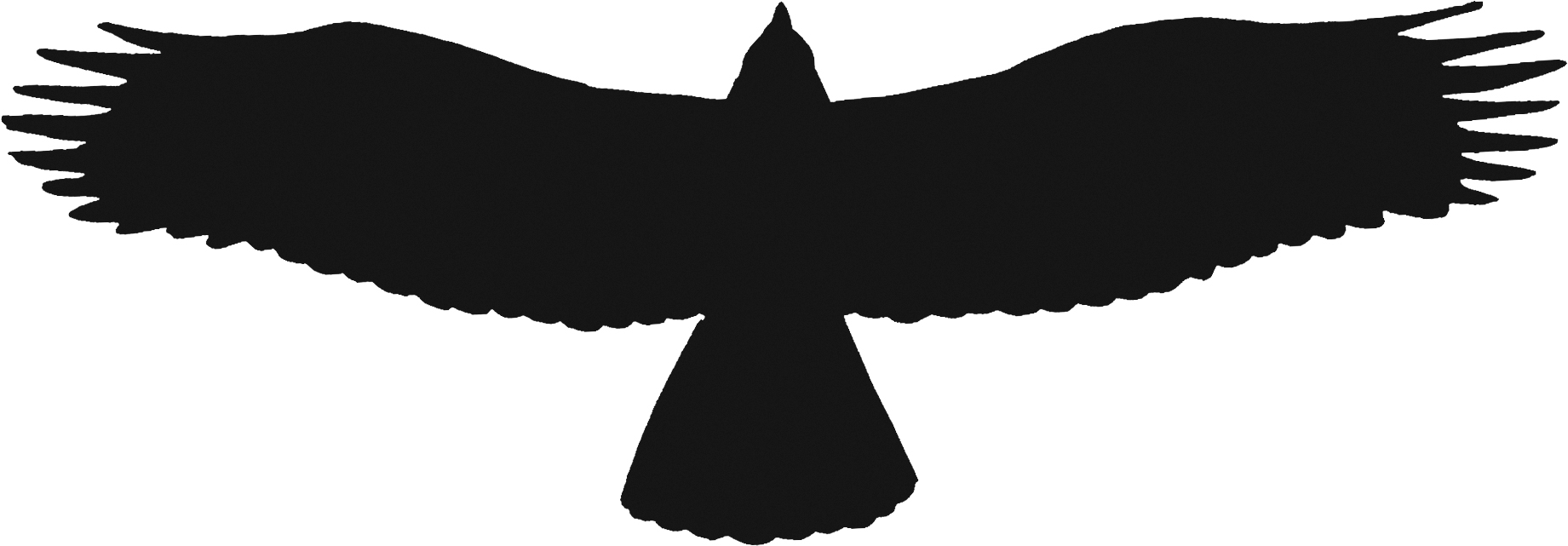 silhouette Bald Eagle
