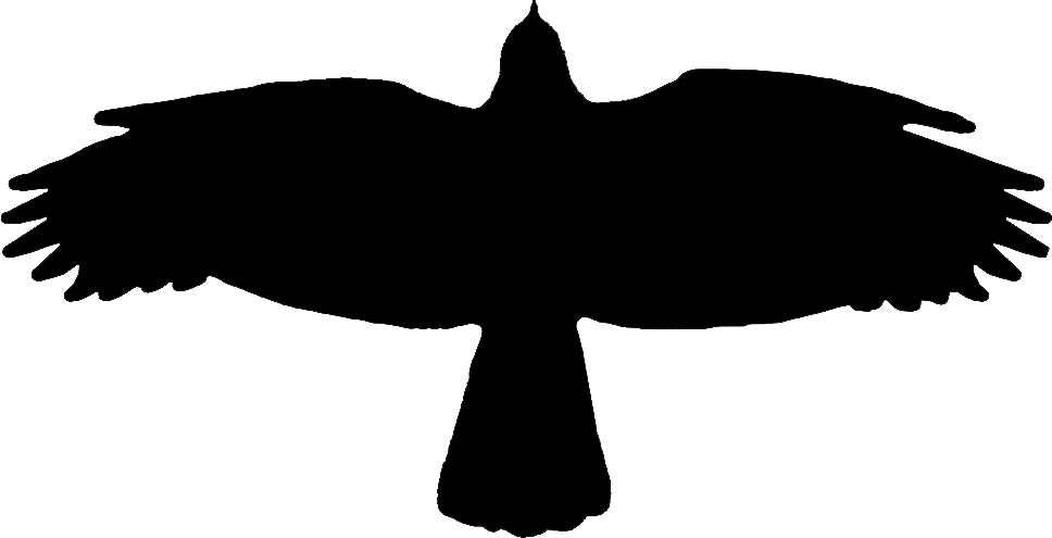silhouette Crow