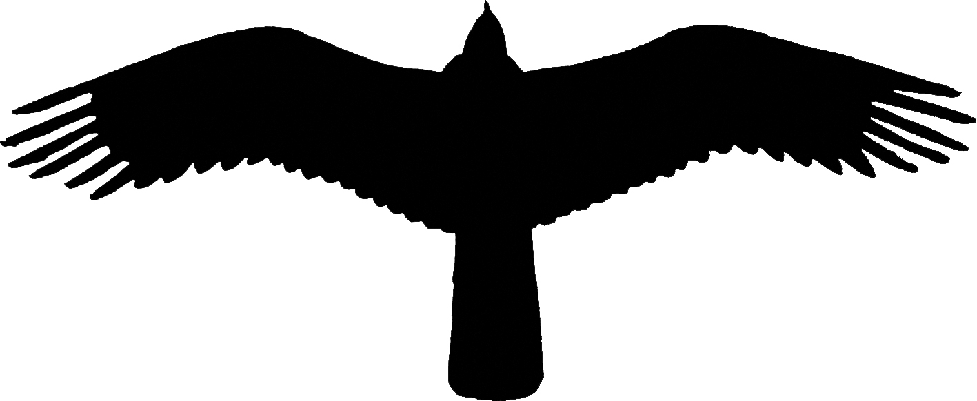 silhouette Osprey
