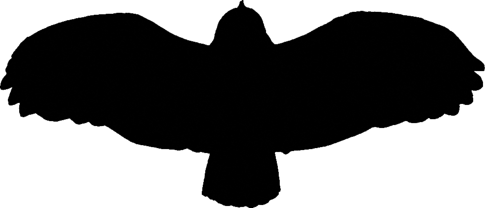 silhouette Owl