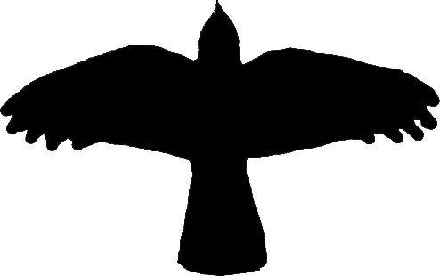 silhouette Raven