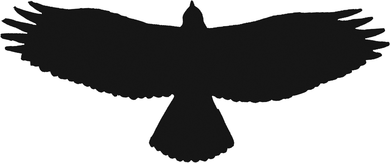 red tail hawk silhouette