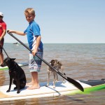 Jordan James and his dogs, Skippy and Missy, get a SUP lesson from instructor Paul Feather of Blue Surf in Craigleith, which rents boards and provides lessons from Northwinds Beach.