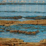 Tide Pool Gulls (34 x 26 inches)