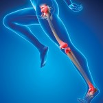 Healthy joints for an active lifestyle