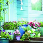 Containers of varying shapes and sizes look best when clumped together for a showy display.