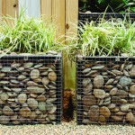 Grasses grow well in containers with lots of drainage.