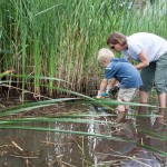 Amber Gordon-Bunn, a staff member with Georgian Bay Forever, cuts phragmites with her son.