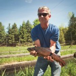 Bruce Green holds a brown trout of the Saugeen River strain – one of the many varieties of trout farmed at Kolapore Springs.