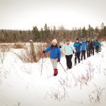 Front to back, Lisa Pottier, Cathy Smart, Ellen Tang, Julie Leach, Brendan Jowett, Stephen Couchman and Kevin Walsh ski the trails, which are managed by the Kolapore Wilderness Trails Association (KWTA).