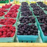 Goldsmith’s Orchard Market grows both red and black raspberries in their greenhouse and sells them in their store on Hwy. 26 in Thornbury.