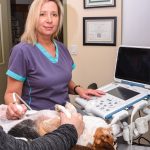 Dr. Jacquie Pankatz of Mountain Vista Veterinary Hospital performs ultrasound on a dog named Sparky