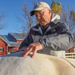 Dr. Mark Gallagher performs chiropractic adjustments on a horse named Chance