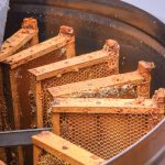 Frames of honey in the extractor yield various honey products which Elzby sells at the Meaford Farmers Market from June to October.