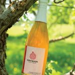 Tim and Kimberley Schneider launched Duntroon Cyder House last year with two signature ciders, Standing Rock and rhubarb-infused Rain Dance .