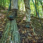 Hiking poles can help with footing and balance when navigating the trail’s many obstacles.