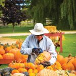 Jo-Anne Morrison cleans pumpkins during harvest