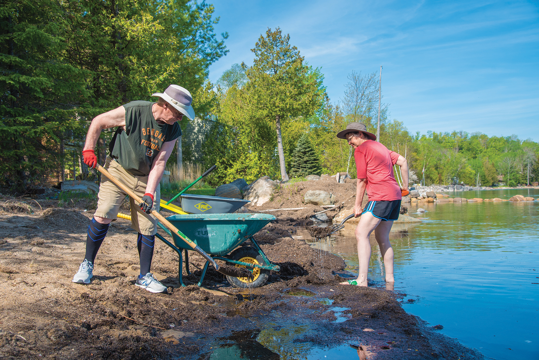 Bruce Smith and Frances Roberts clean up the shoreline in front of the family cottage in Thornbury.