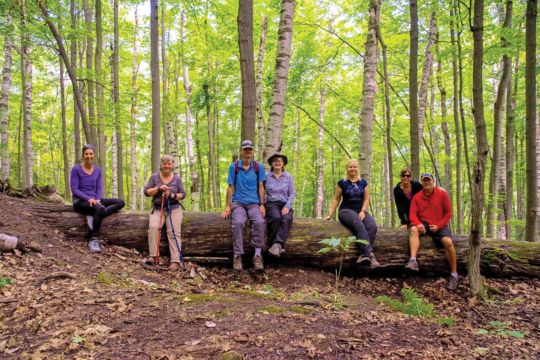 Emerging from the confines of the Singhampton Caves, the hikers stop to take in an expansive view of a large grove of birch trees. Left to right: Deb Bloom Hall, writer Laurie Stephens, Barry Zimmermann, Karen Hall, Katia Abaimova, Morag and Dave Nieuwold.