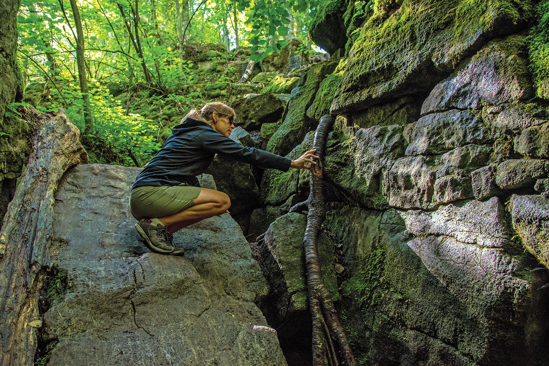Morag Nieuwold examines a tree root that seemingly sprouts from the rockface, anchoring a large birch tree in place in the Singhampton Caves.