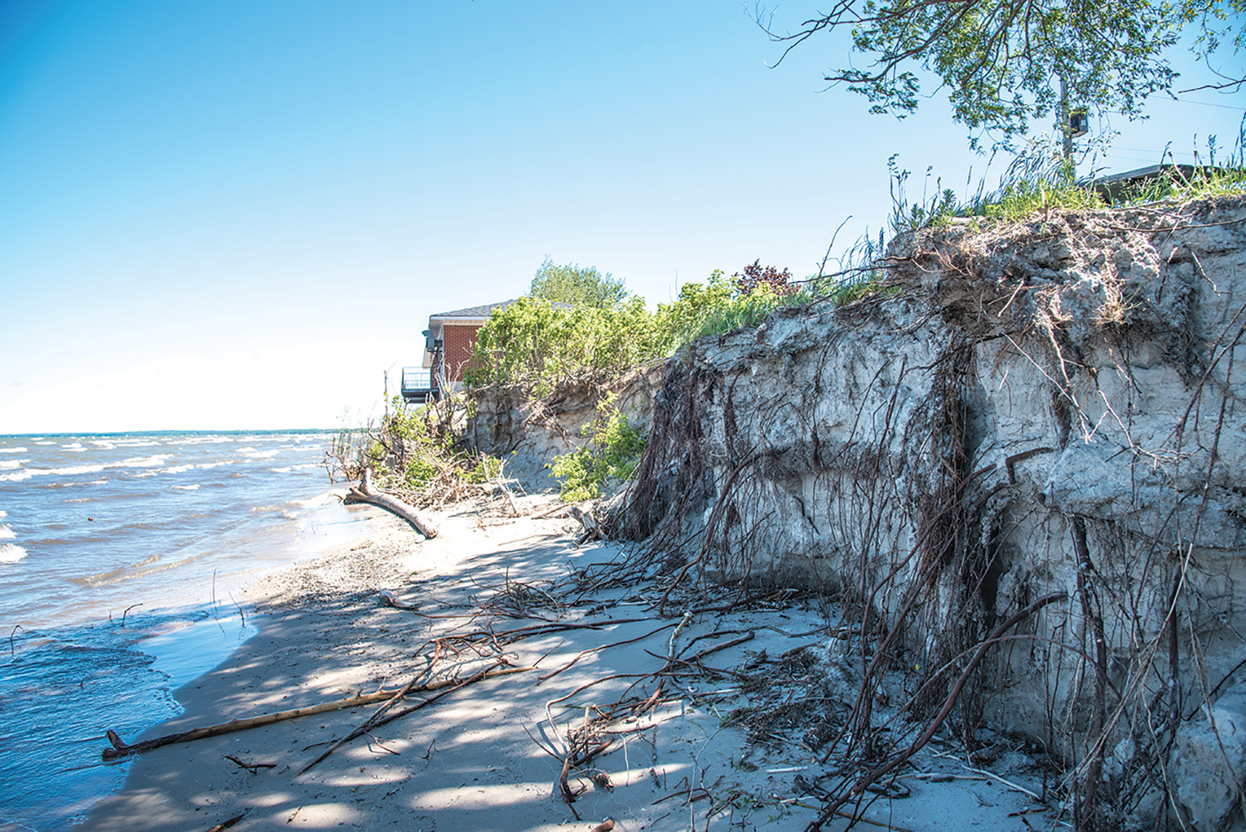Tree roots are exposed after a sand slope washes away at Beach Area 3