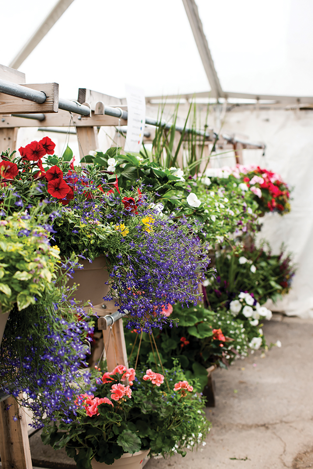 This spring saw the addition of an outdoor tent offering a variety of flowers and plants.