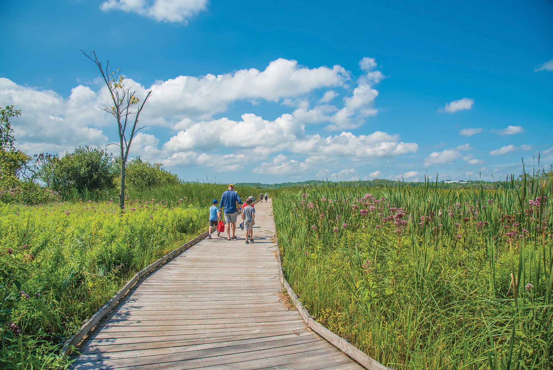 The Wye Marsh Wildlife Centre in Midland features trails, boardwalks and paddling routes through 3,000 acres of Provincially Significant Wetlands.
