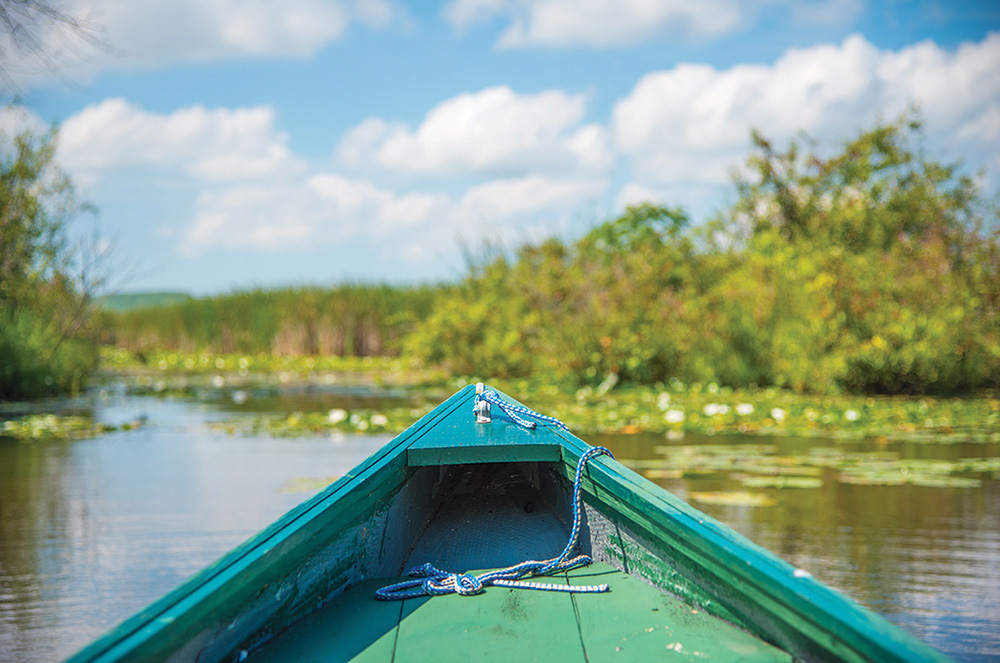 The Wye Marsh Wildlife Centre in Midland features trails, boardwalks and paddling routes through 3,000 acres of Provincially Significant Wetlands.