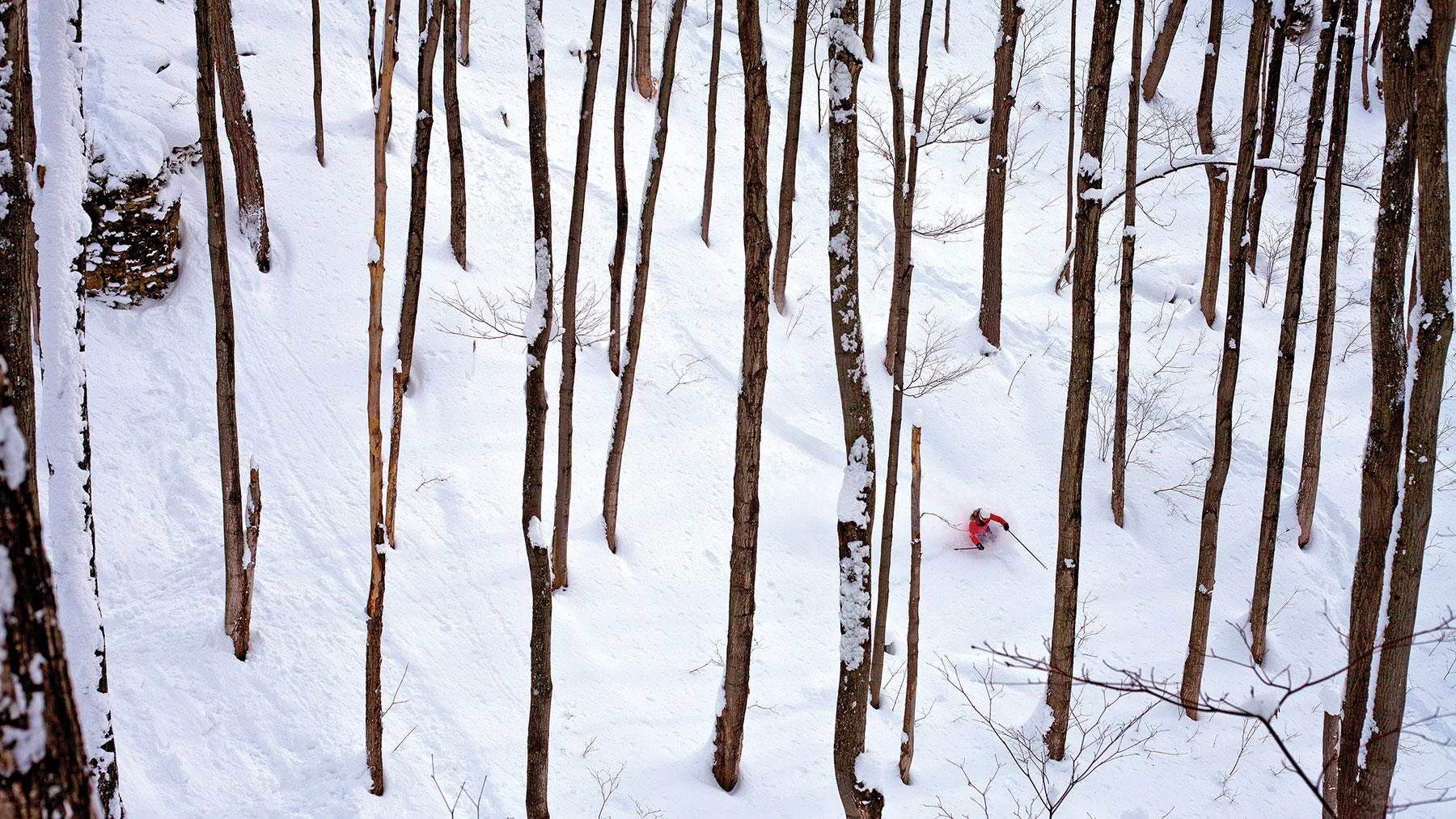 Jenna Mielzynski Nicoll gets the deep snow in some perfectly-spaced Ontario backcountry glades. Location: secret.