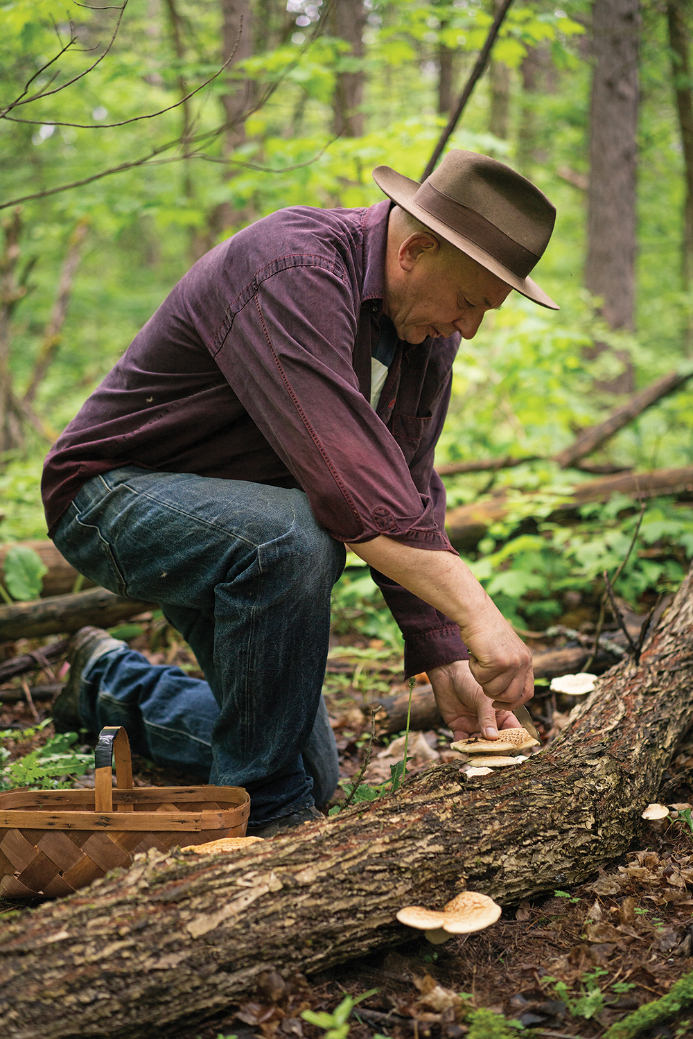 Micheal Stadtländer, a pioneer in the foraging movement. Eco-responsibility and avoiding over-harvesting are key to sustainability.