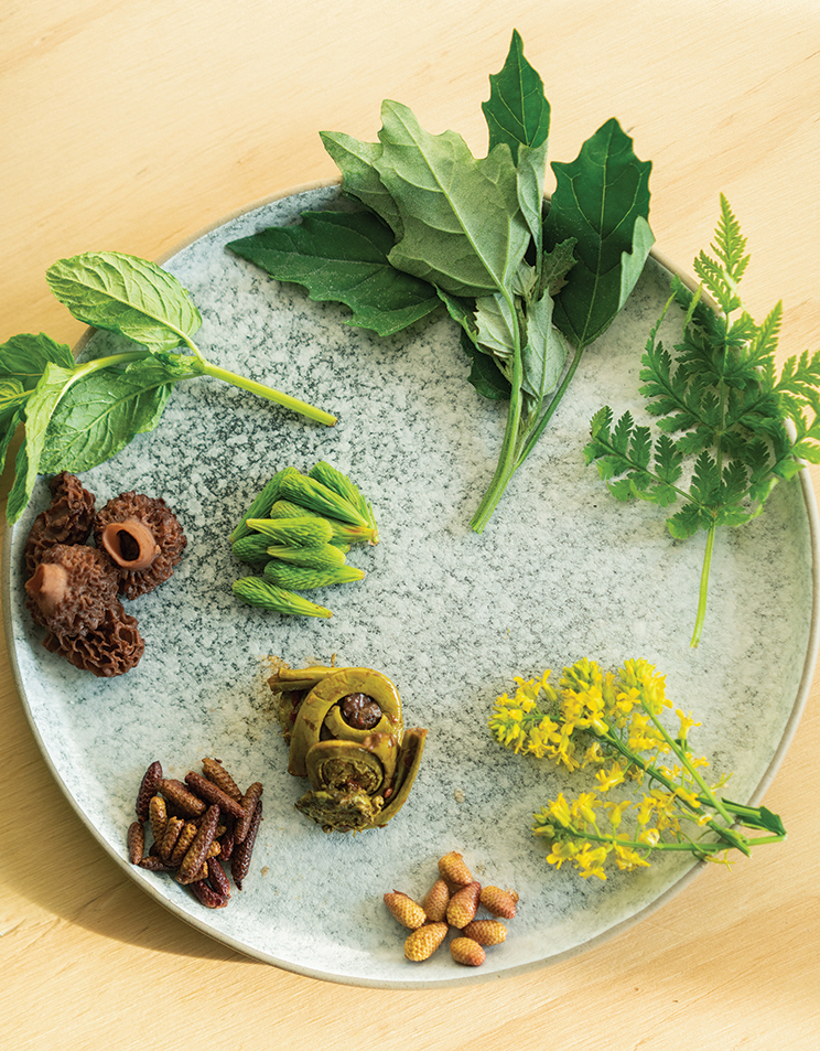 A plate of local, foraged ingredients from The Pine.