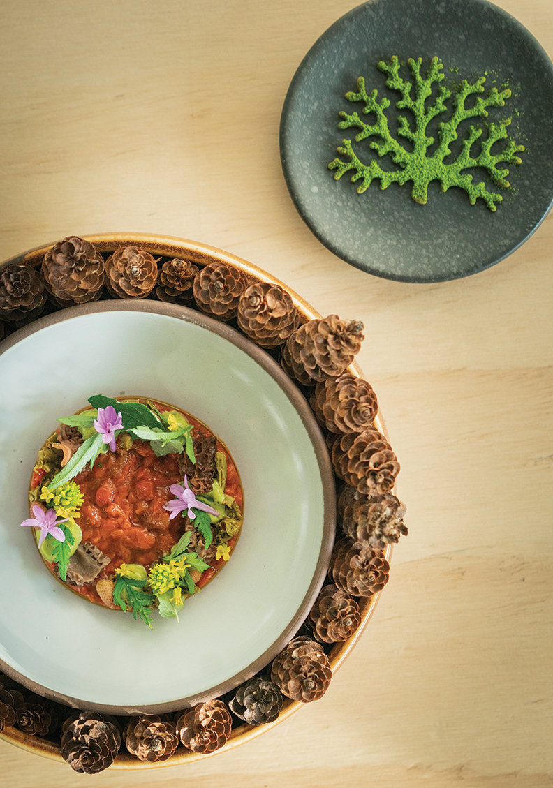 The Pine’s Yunnanese-style tartare with wild mint emulsion, spruce catkin capers, fiddlehead piccalilli, chewy morels, lamb’s quarters, wintercress, and a spruce-tip-and-pecorino frico.