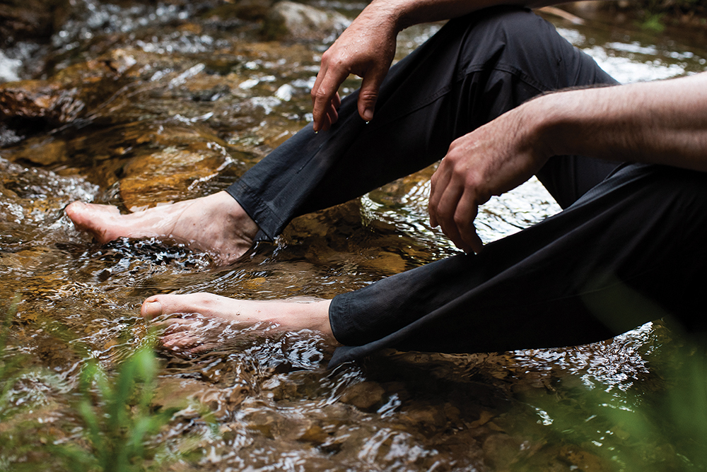 Forest bathing “invitations” may include dipping your bare feet in a stream. Or standing still in a clearing, taking in everything the forest has to offer.