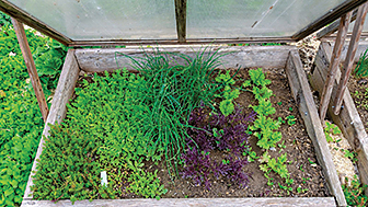 A cold frame is an economical solution when space is limited.