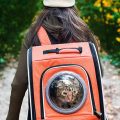 A cat-carrying backpack, like this one from Lemonda, allows your furry feline to breathe and see while being transported in a convenient manner.