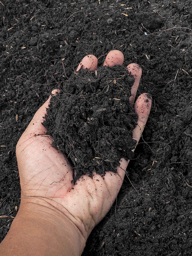 What is your soil made of? The best is one-third sand, one-third clay and one-third silt.