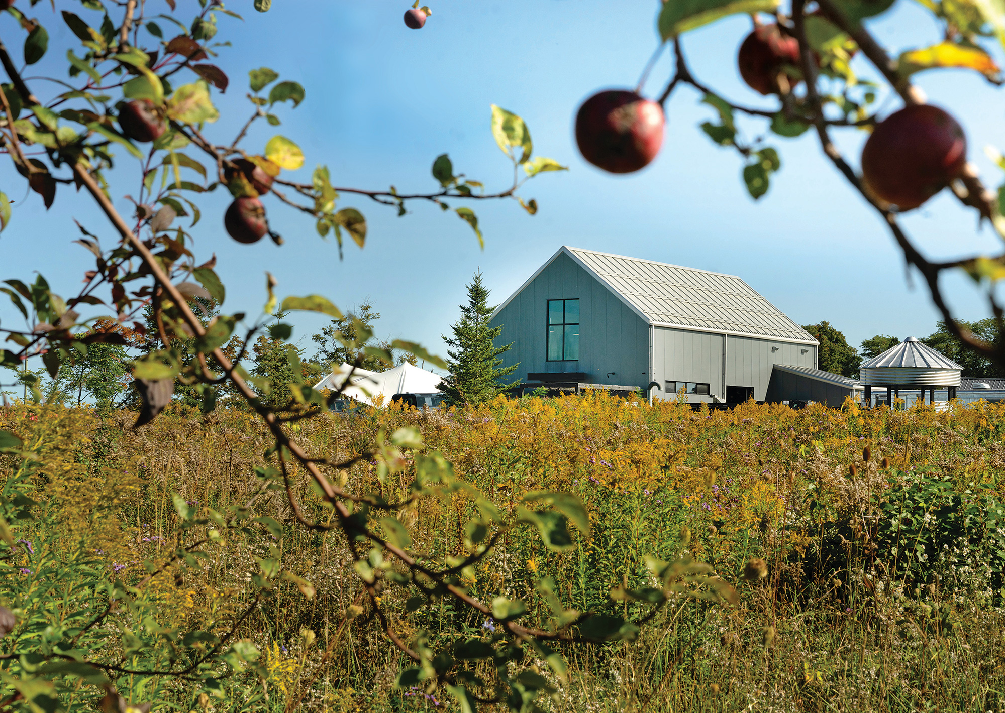 Spy Cider House and Distillery, surrounded by 80 acres of organic orchards.