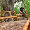 Big trees and boardwalks. Brothers Steuart and Tom Walton are grandsons of Walmart founder Sam Walton, and their shared passion for mountain biking has led the Walton Family Foundation to contribute $13 million toward trails in Bentonville and Northwest Arkansas.
