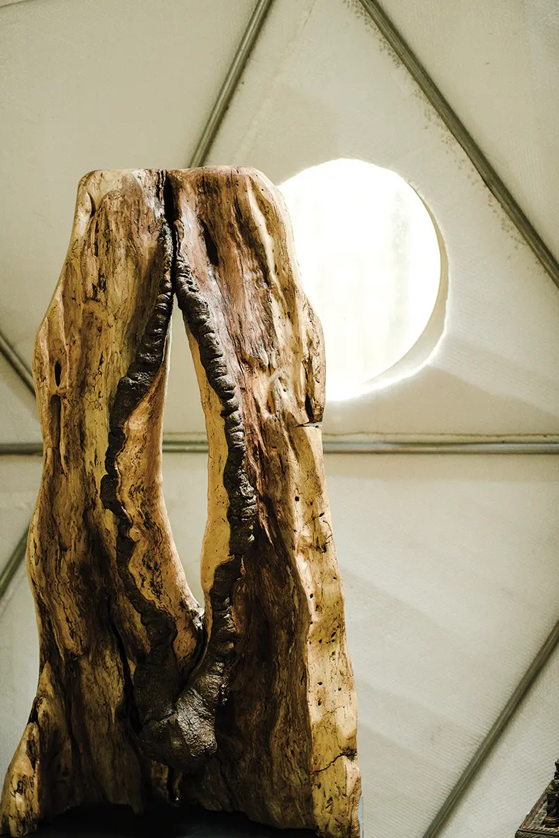 Mixed reactions provoked by her first sculpture Gaia’s Vulva, discovered in a tree, prompted Bouwman to create more.