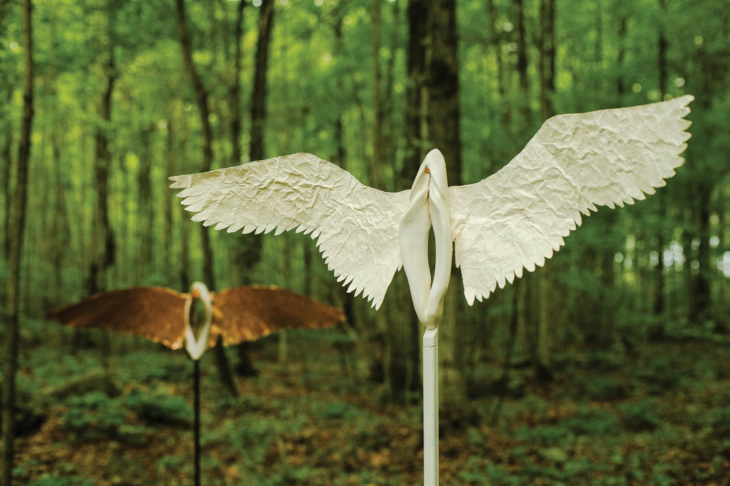 Bouwman’s winged vulva collection includes Brigid’s Yoni (foreground).