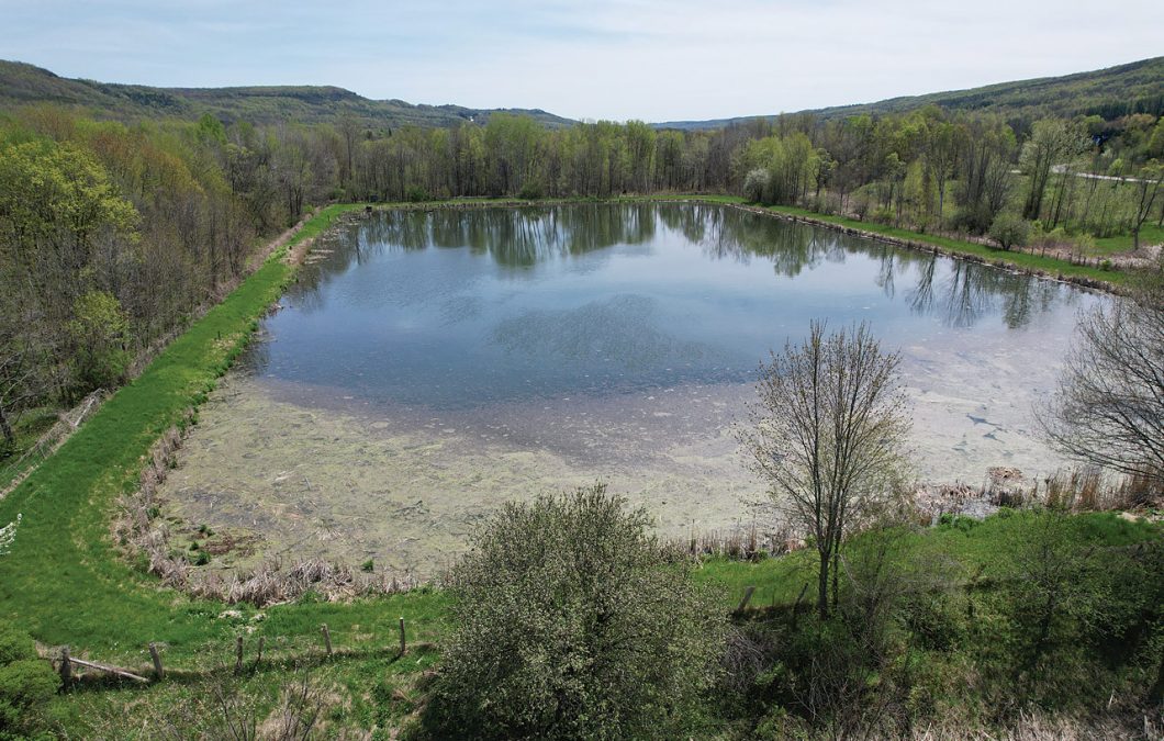 The Leaky Lagoon