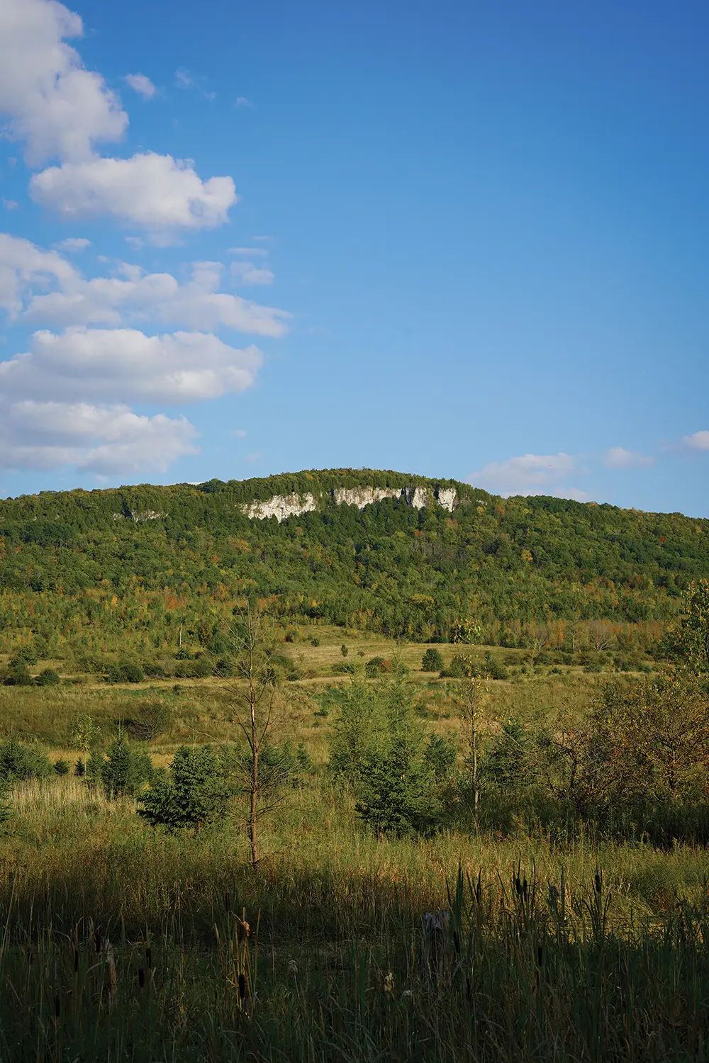 Old Baldy in Kimberley, Beaver Valley.