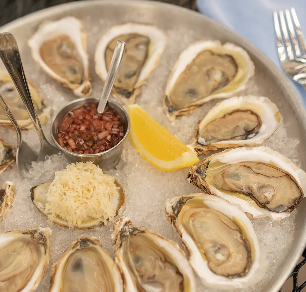 Oysters with mignonette and citrus.