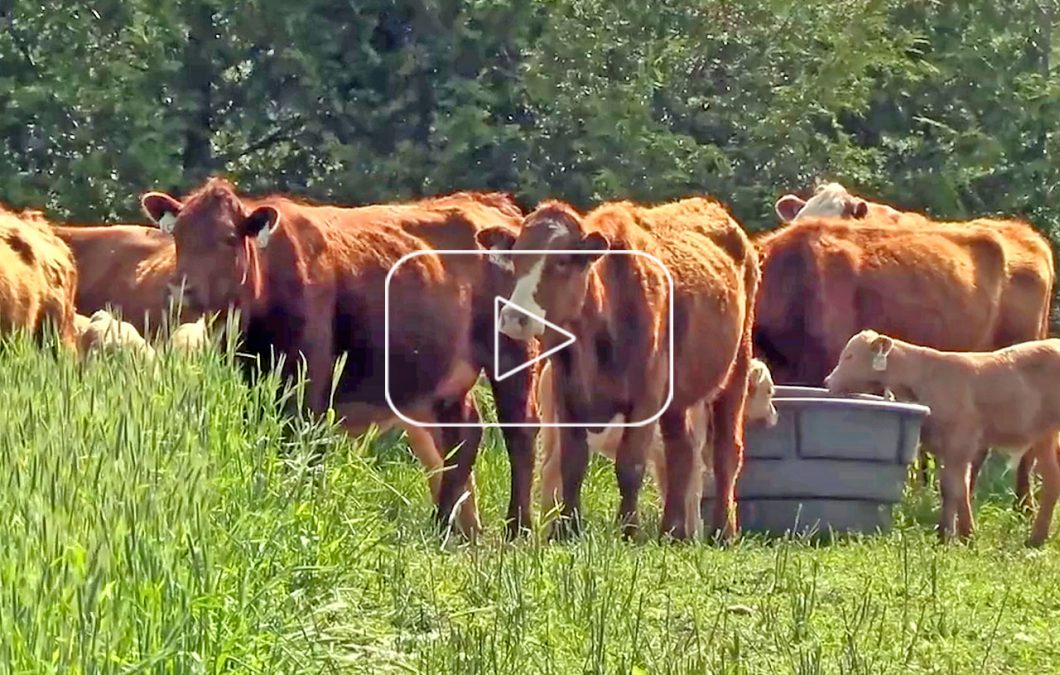Farms for Change