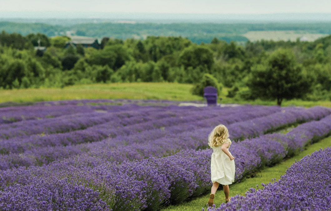 Purple Passion Project